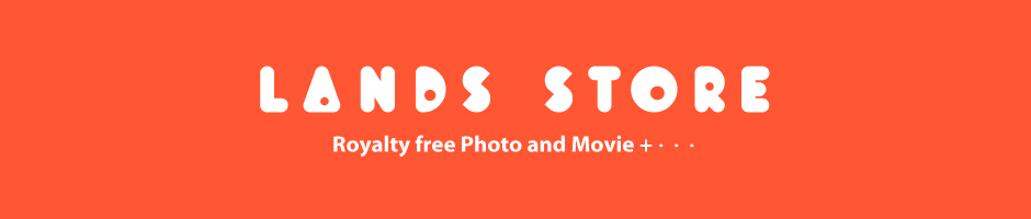 LANDS STORE.jpg
