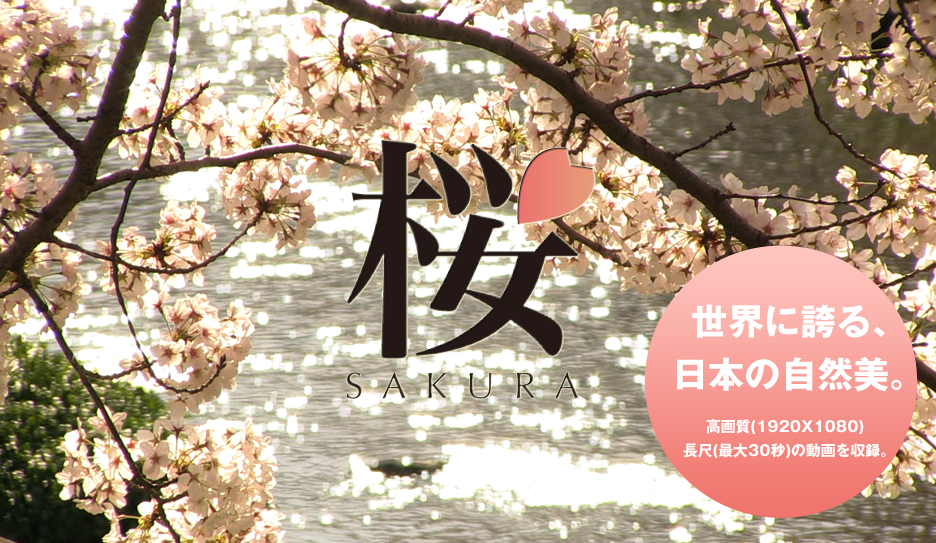 sakuraビルボードバナー(936x543).png